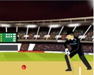 Cricket world cup 3d mobil