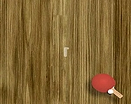 Ping pong ingyen játék
