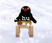 Pingu crazy sledging online